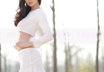 aiss – 白衬衫的魅力：索菲的作品集，下载让心动加倍！