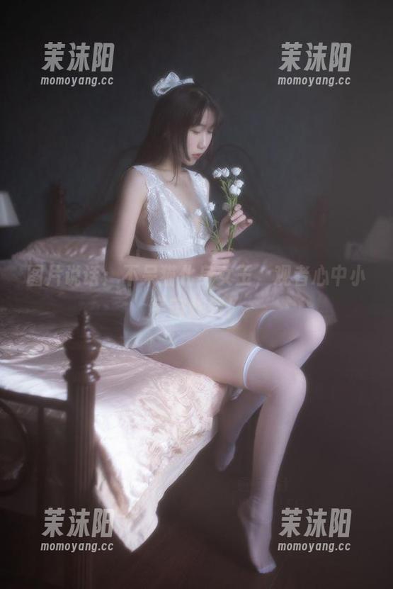 图片说话：不呆猫化身女王，观者心中小宇宙炸裂！