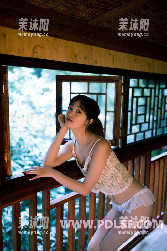 轰趴猫 - 下载杨晨晨sugar的网袜合集，感受一下那种若隐若现的魅力